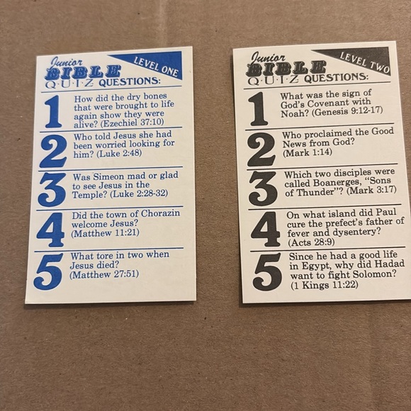 Junior Bible Quiz Game - Picture 7 of 11